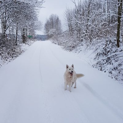 Zima w Przeździedzy. Fot. Jola